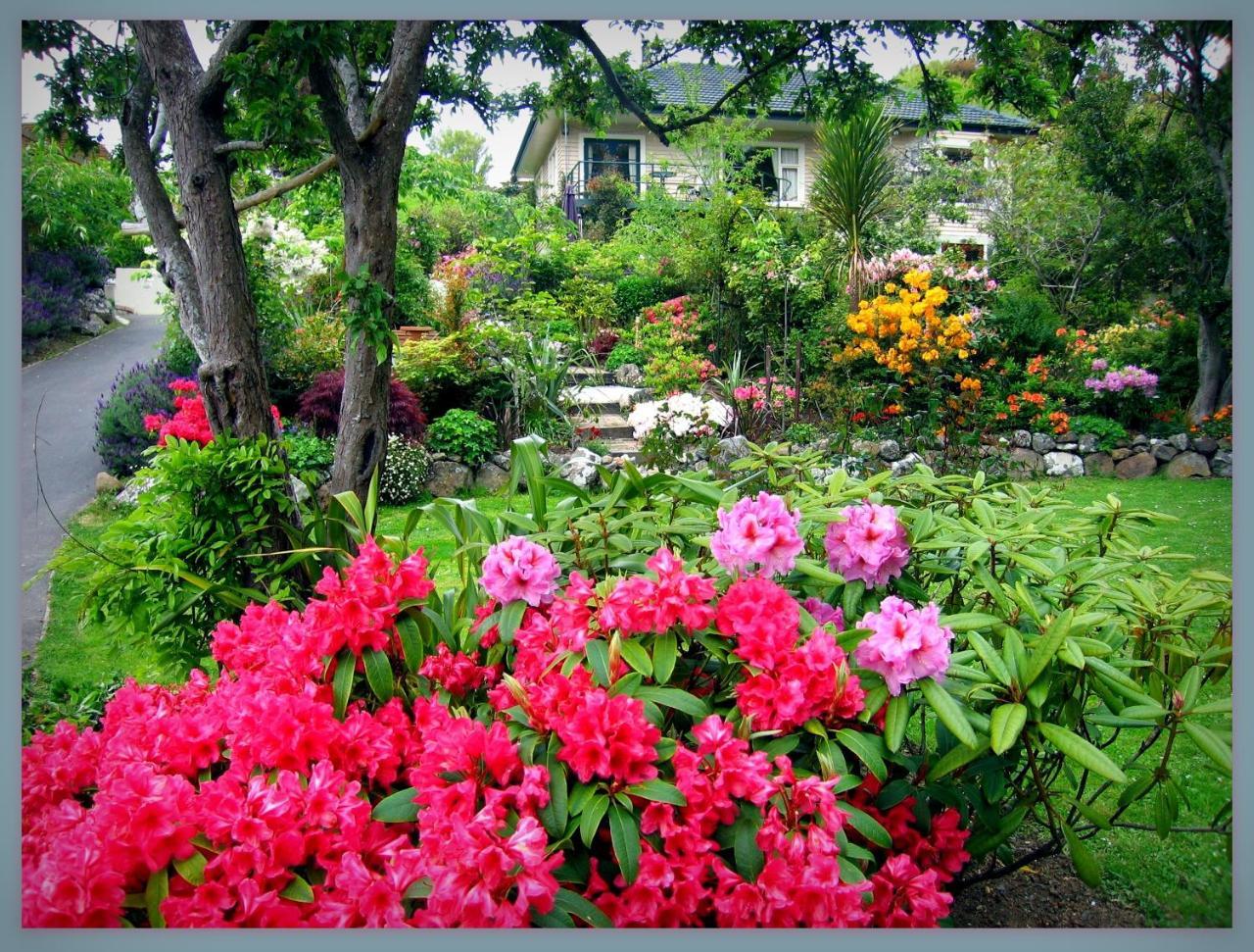 Mcauley Glen Boutique B&B Portobello Exterior photo